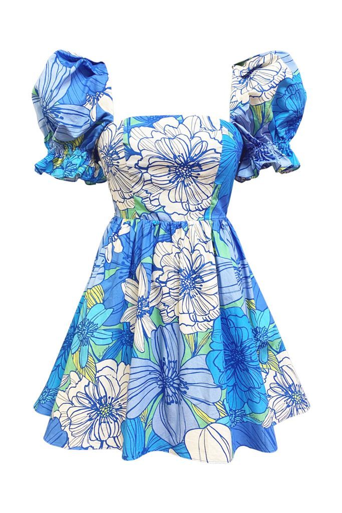 Women's The Mia Organic Cotton Mini Dress In Blue Floral Medium Lavaand