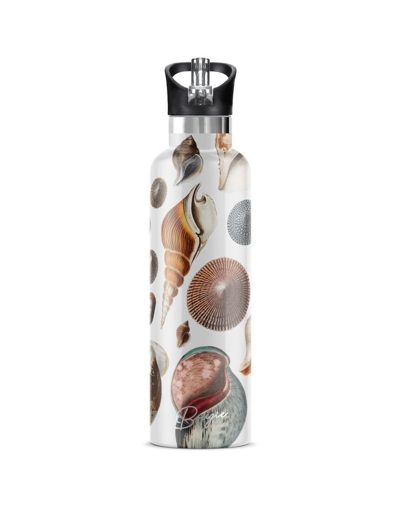 Women's Neutrals / White / Brown Conchas Maris Stainless Steel Double-Wall Insulated Water Bottle With Flip 'N' Sip Lid One Size My Bougie Bottle
