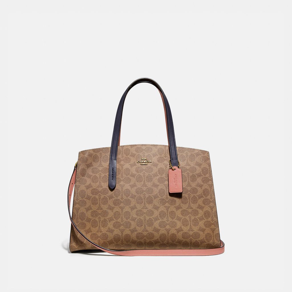 Charlie Carryall In Colorblock Signature Canvas