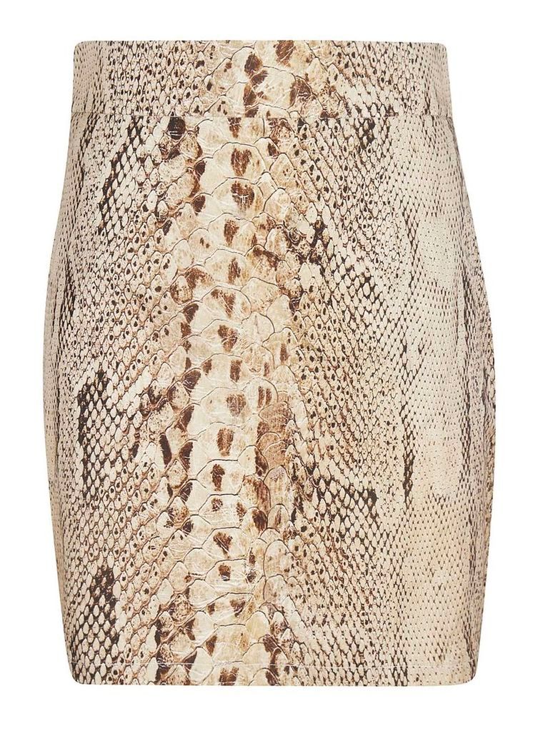Blumarine Printed Skirt