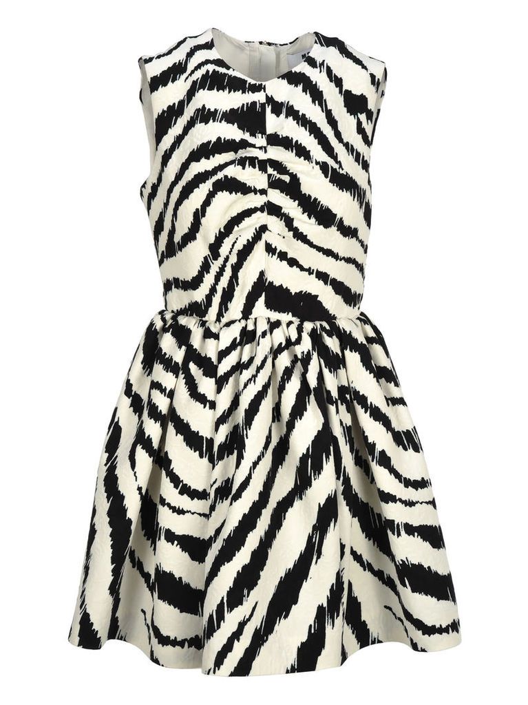 Msgm Msgm Zebra Print Mini Dress