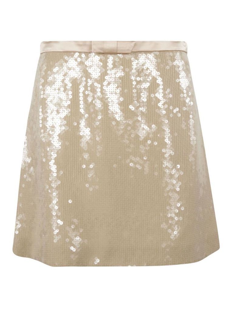 Glittery Skirt