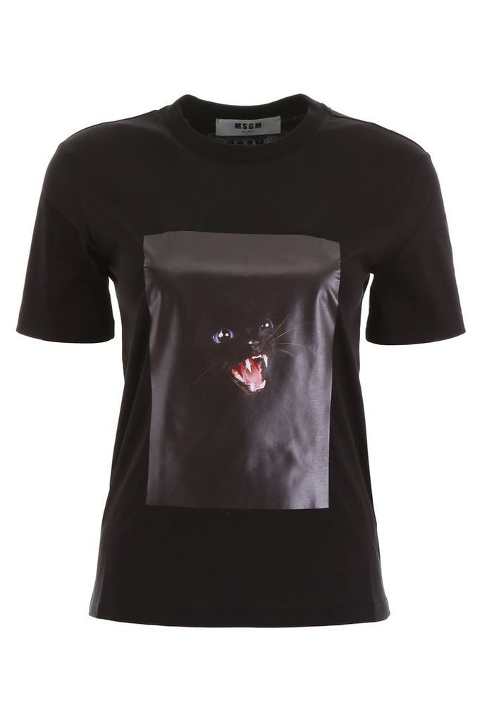 MSGM Cat T-shirt