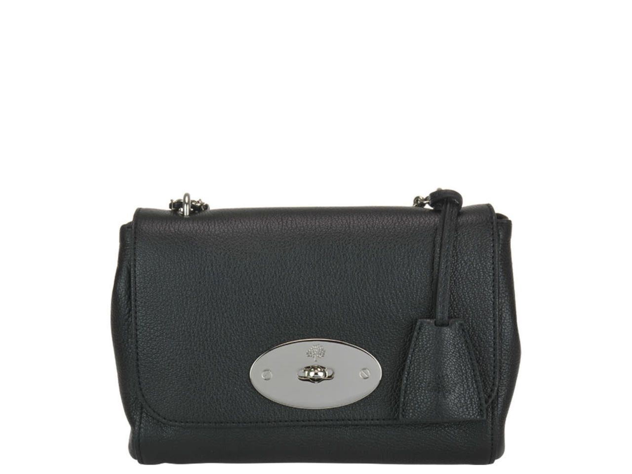 Mulberry Lily Glossy Bag