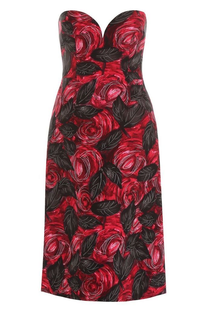 Rose Print Dress