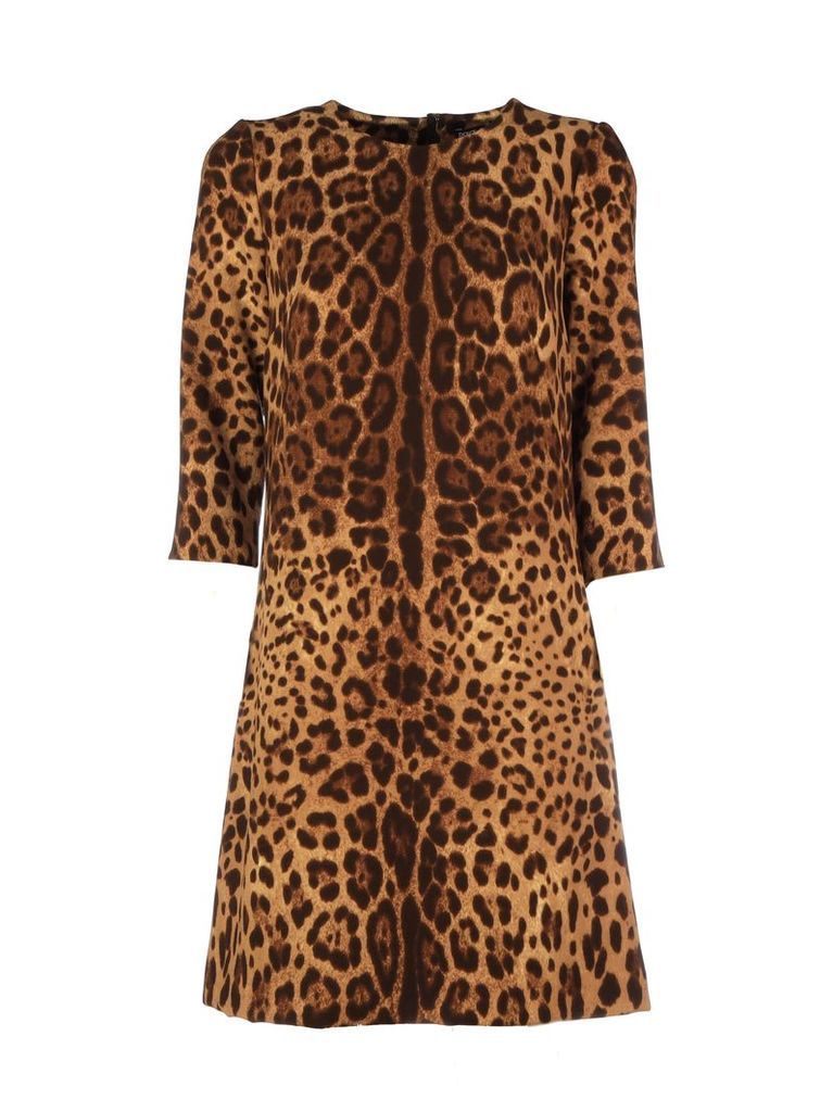 Leopard Print Mini Shift Dress
