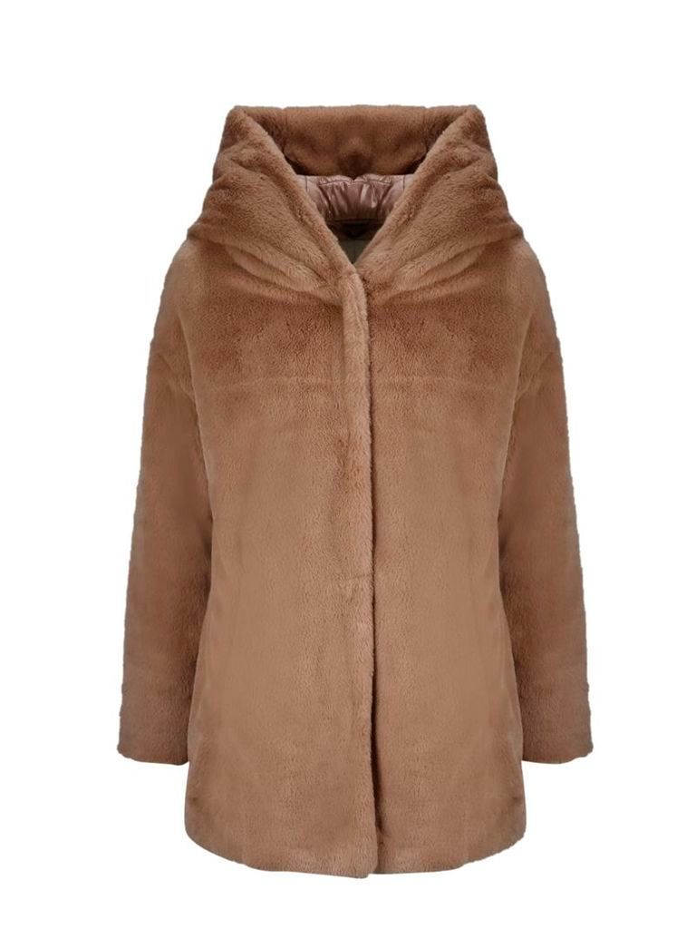 Herno Coat