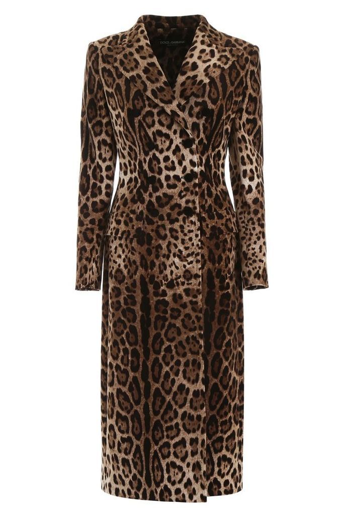 Dolce & Gabbana Leopard-printed Velvet Coat