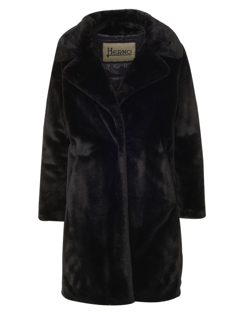 Coat Herno