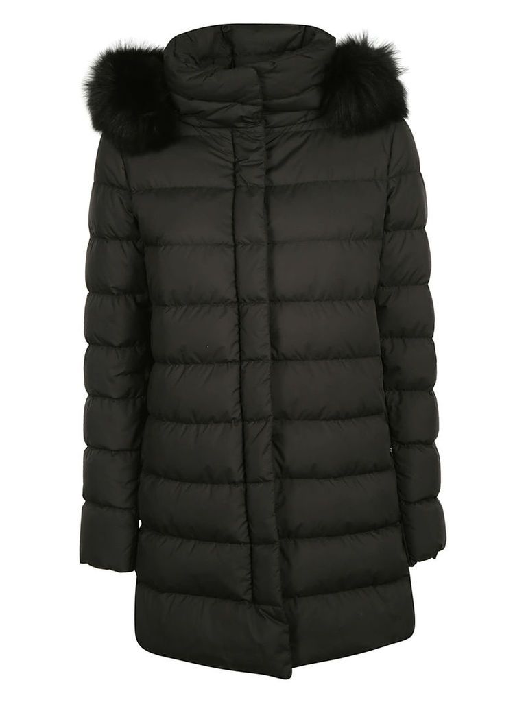 Herno Furry Collar Concealed Padded Parka