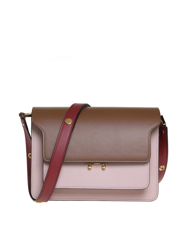 Trunk Bag In Brown And Powder Leather