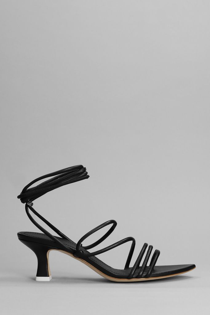 Dafne 055 Sandals In Black Leather