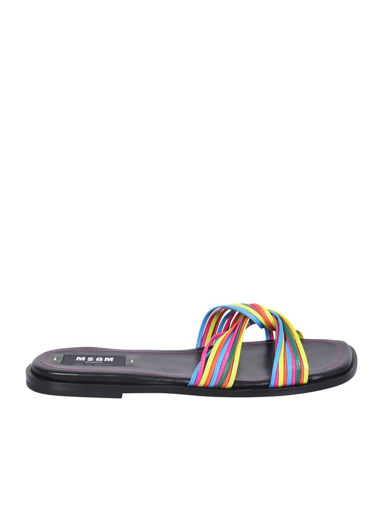 Multicolor Band Sandals