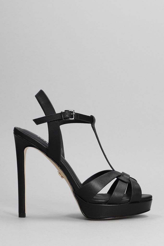 Sandals In Black Leather
