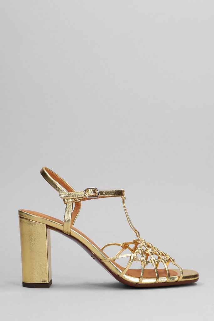 Bassi Sandals In Gold Leather