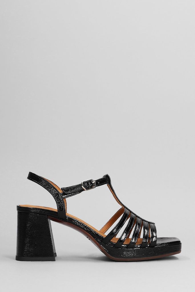 Genial Sandals In Black Leather