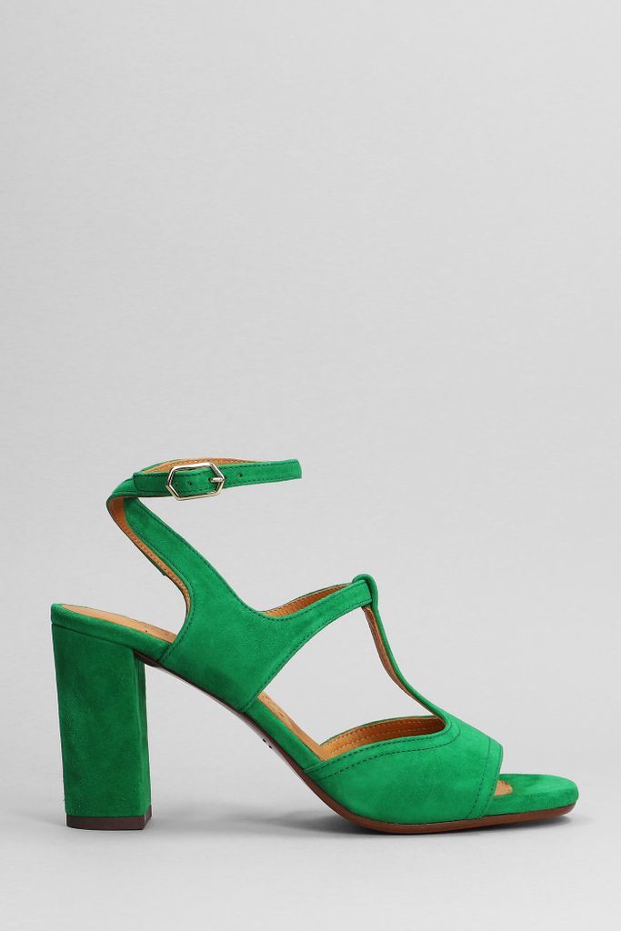 Bashira Sandals In Green Suede