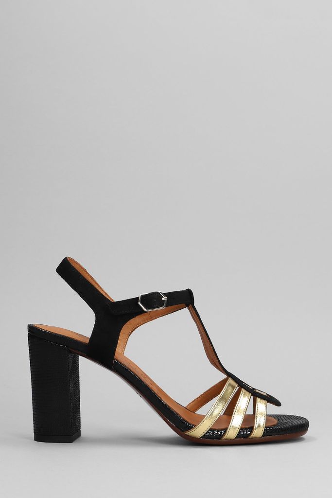 Babi Sandals In Black Suede And Leather