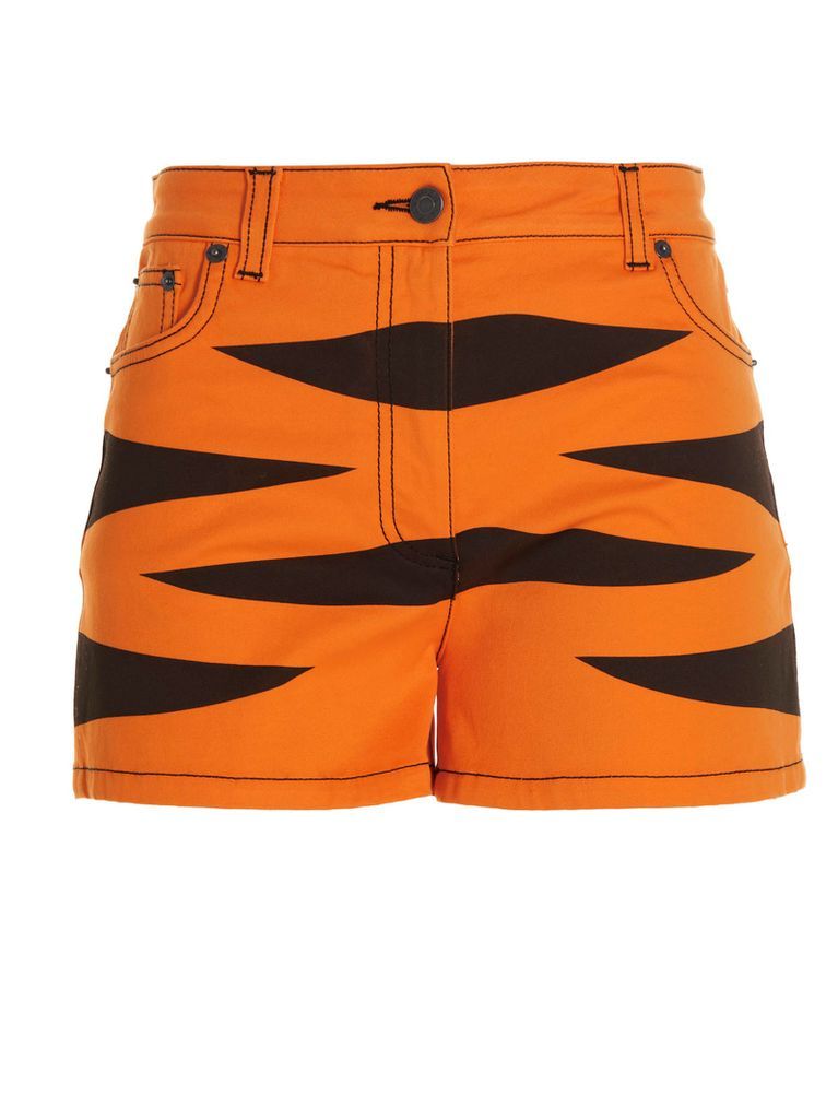 Year Of The Tiger Shorts