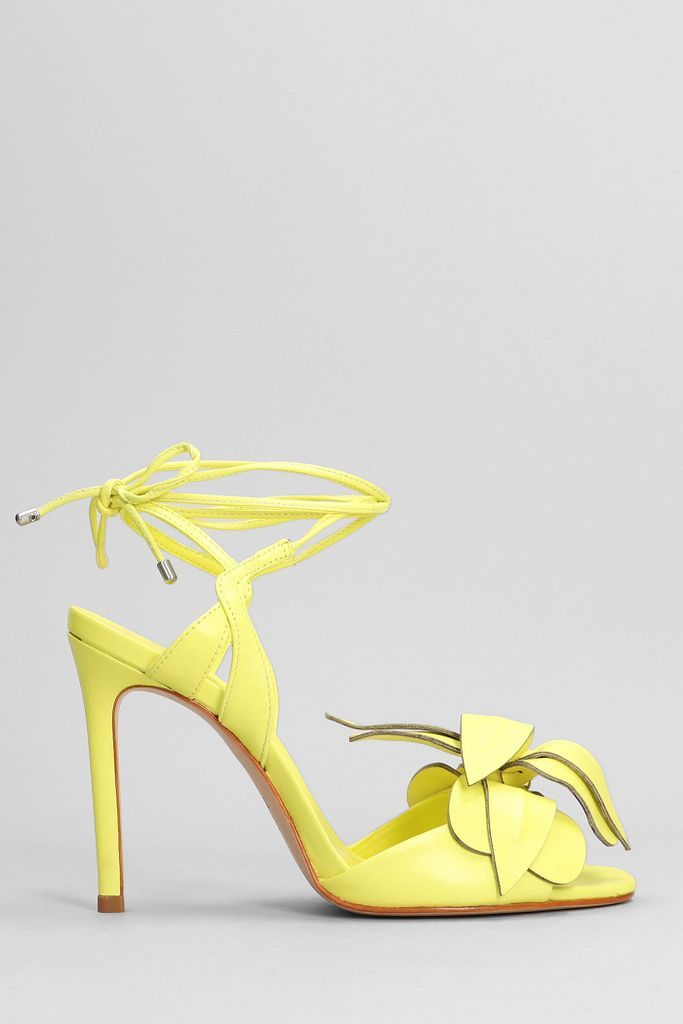 Sandals In Yellow Leather