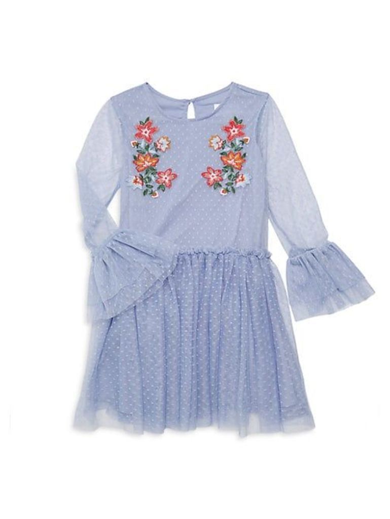 Little Girl's & Girl's Embroidered Mesh Dress