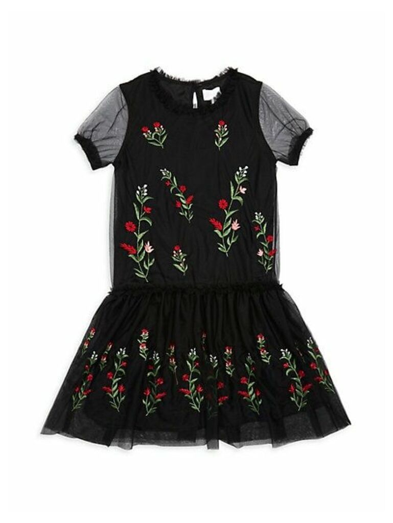 Girl's Embroidered Floral Mesh Dress