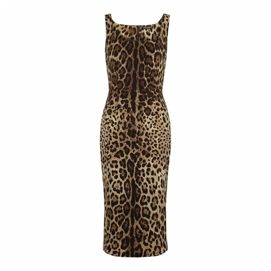 Dolce & Gabbana Leopard-print Stretch-silk Midi Dress
