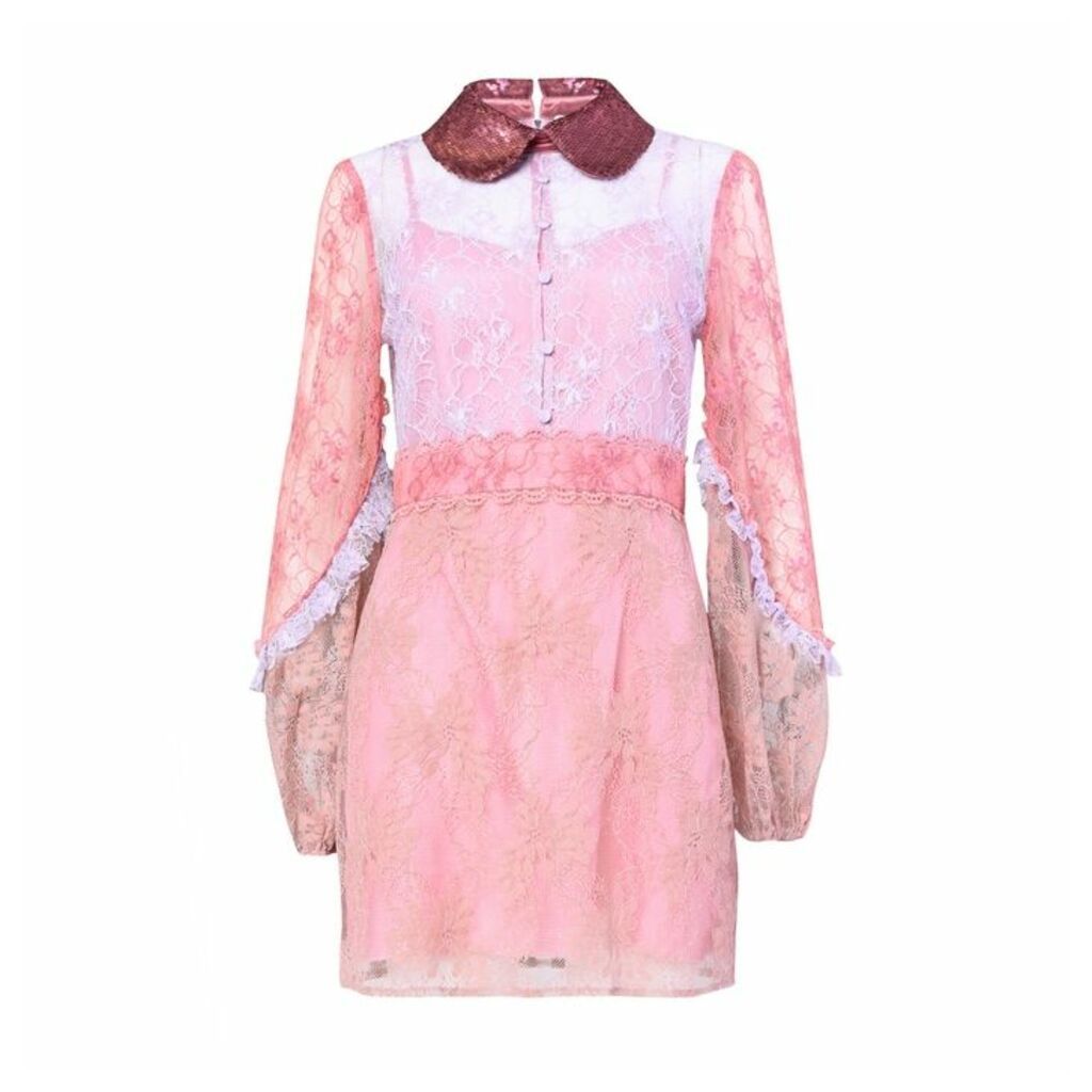 True Decadence True Decadence Pink Lace Collared Mini Dress