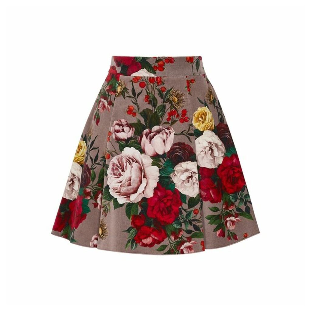 Dolce & Gabbana Floral-print Velvet Mini Skirt