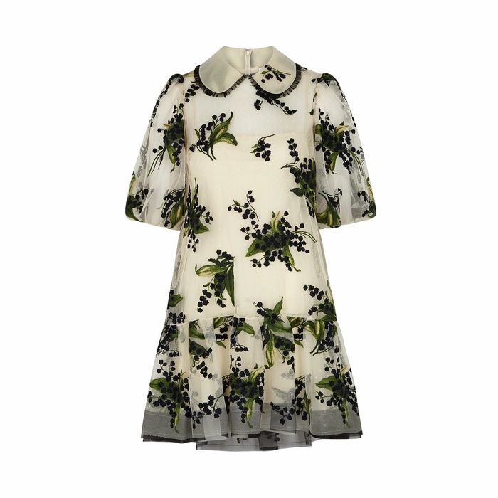 Ivory Floral-embroidered Tulle Mini Dress