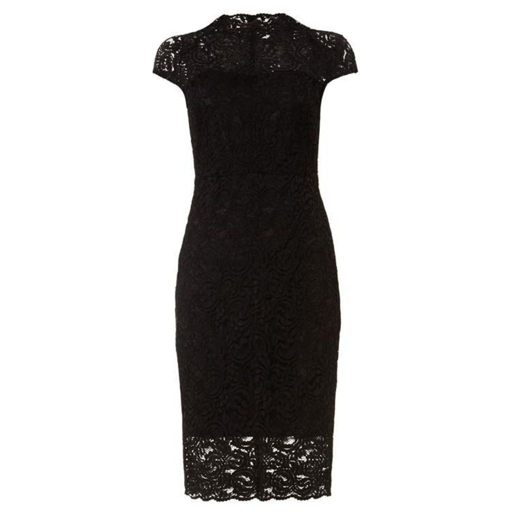 Phase Eight Becky Lace Dress