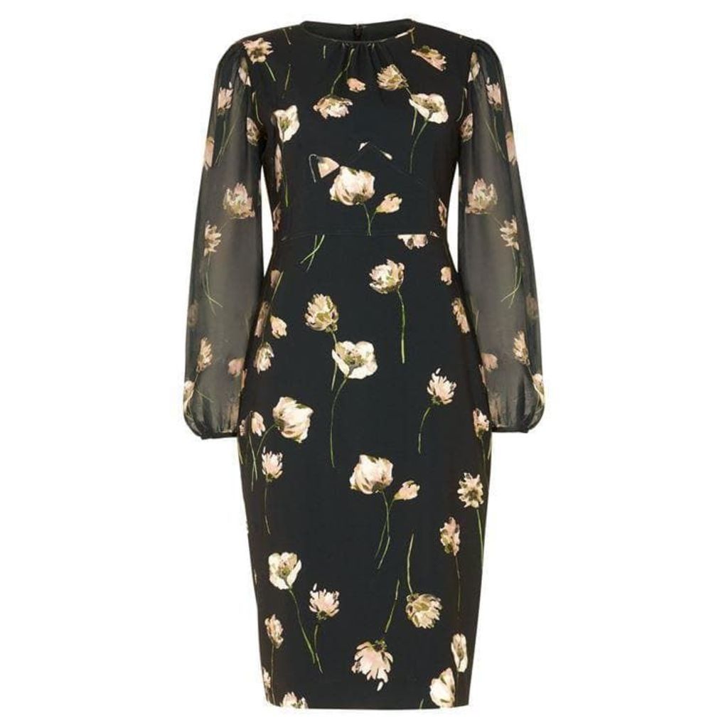 Phase Eight Sorina Printed Floral Dress