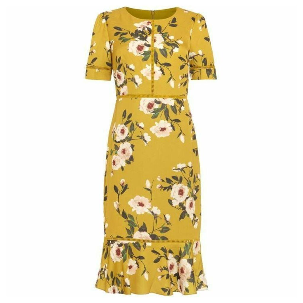 Phase Eight Hilary Floral Dress