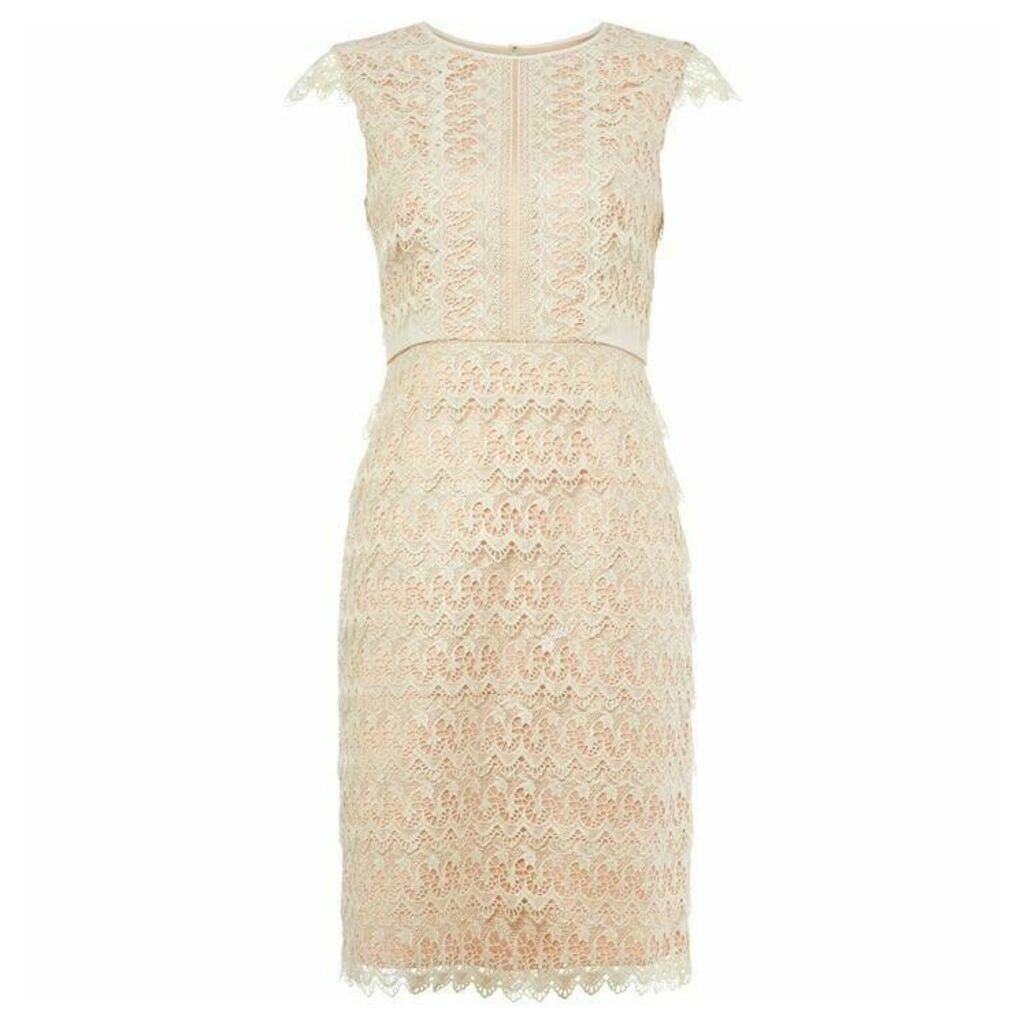 Phase Eight Ally Lace Layered Dress