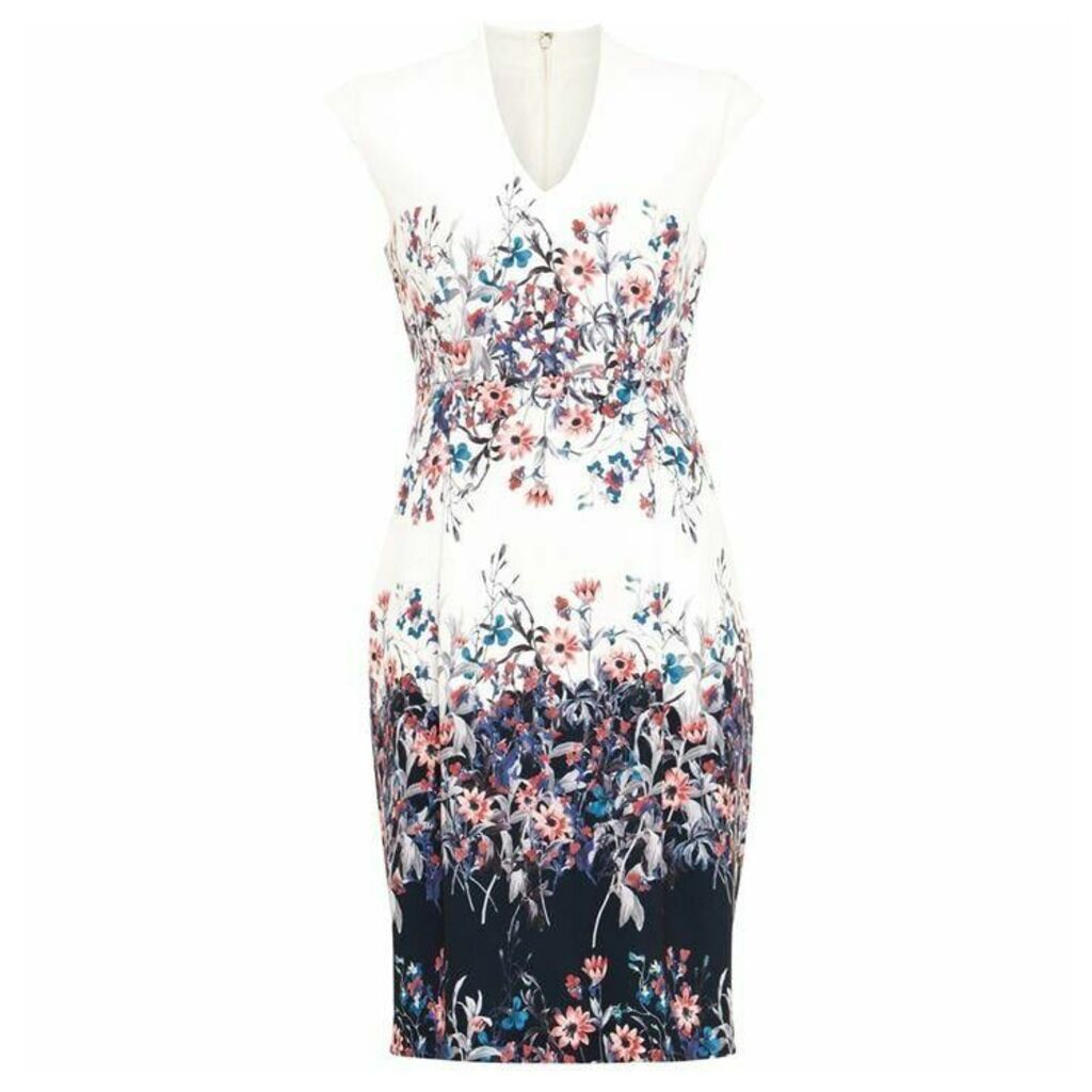 Phase Eight Dina Floral Dress