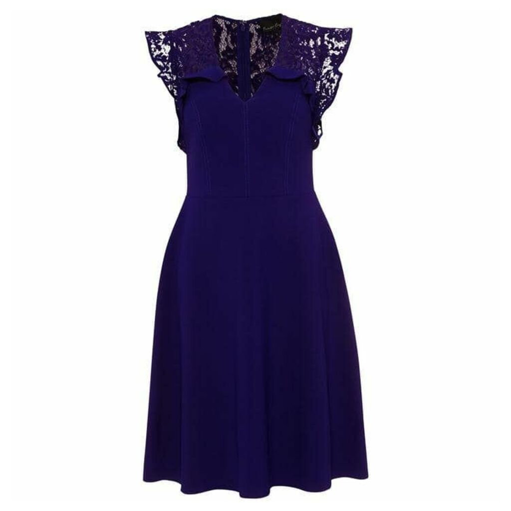 Phase Eight Macie Lace Insert Fit & Flare Dress