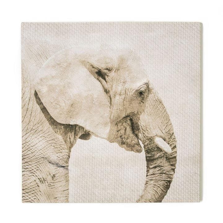 Trunk Printed Canvas