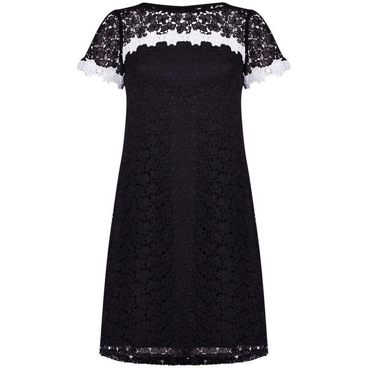 Ditsy Floral Lace Shift Dress