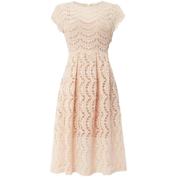 Body Frock Fit and flare dress - Blush