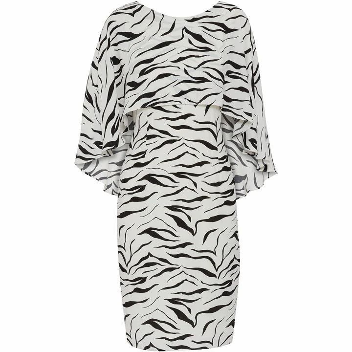 Riona Zebra Print Dress