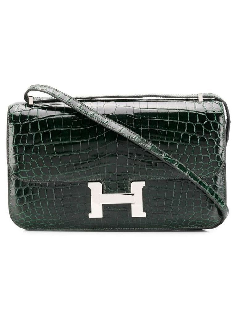 Hermès Pre-Owned 25cm Constance Elan bag - Green