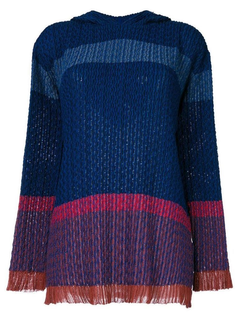 Stella McCartney hooded sweater - Blue