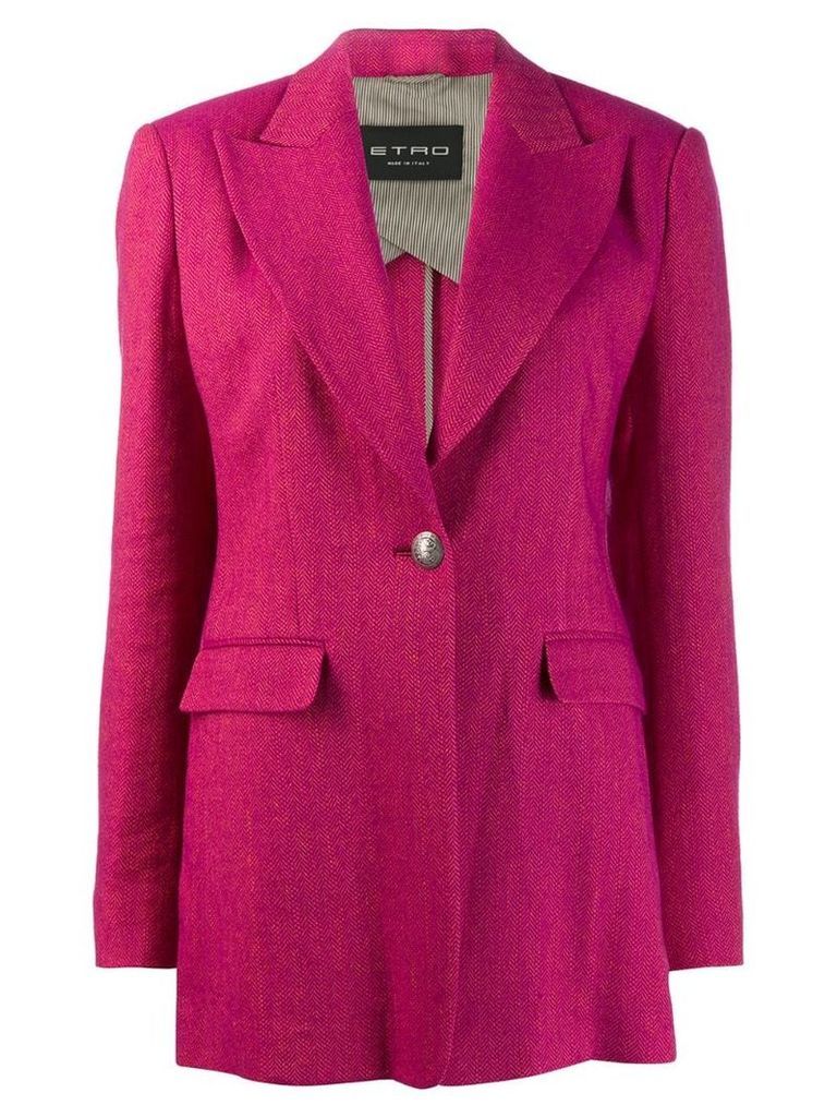 Etro chevron pattern blazer - Pink
