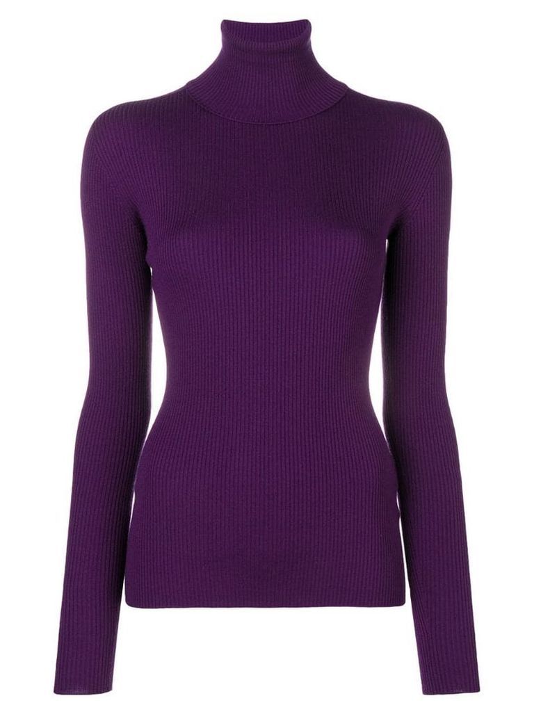 Dolce & Gabbana ribbed roll neck jumper - Purple