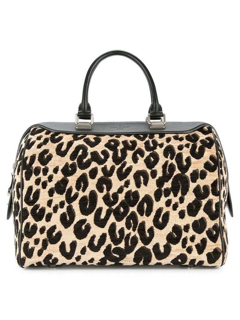 Louis Vuitton Pre-Owned Leopard Speedy hand bag - Multicolour
