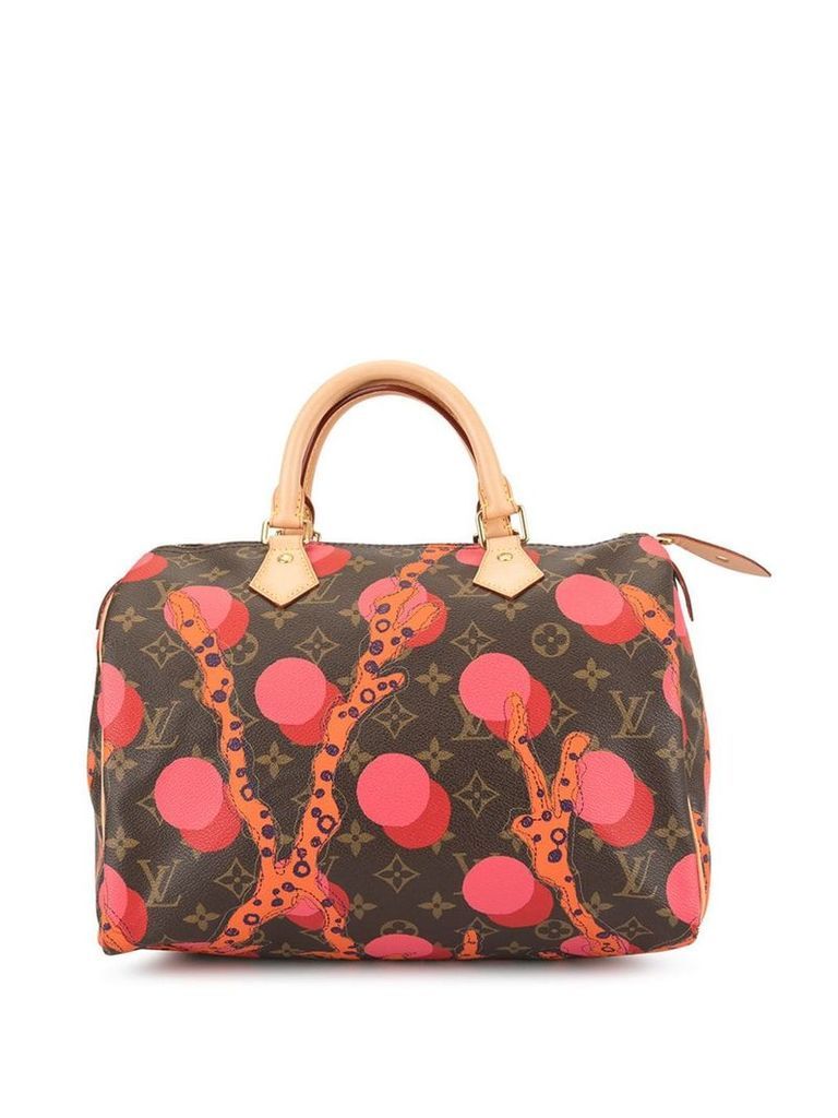 Louis Vuitton Pre-Owned Speedy 30 handbag - Multicolour