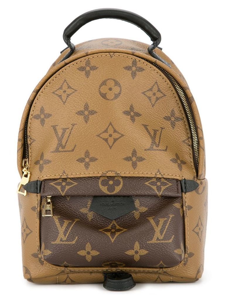 Louis Vuitton Pre-Owned palm springs mini backpack - Brown