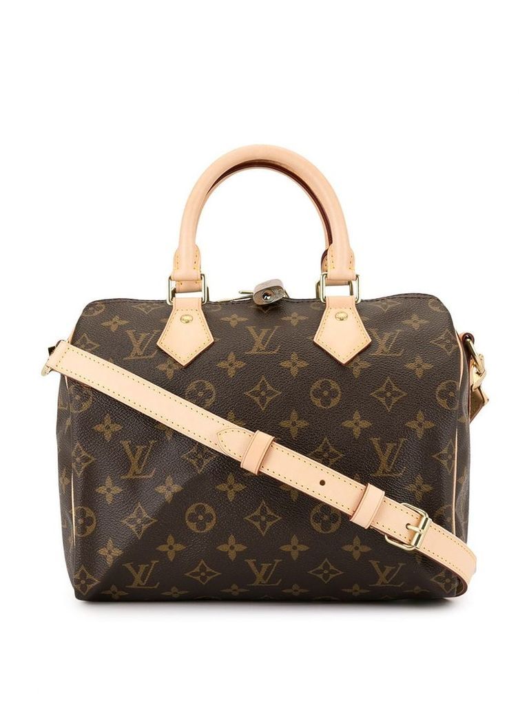 Louis Vuitton Pre-Owned Speedy 25 shoulder bag - Brown