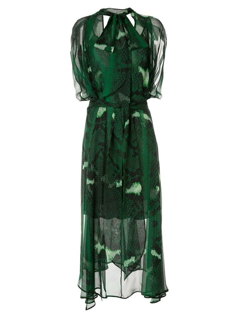 Petar Petrov Delway sheer snake print dress - Green