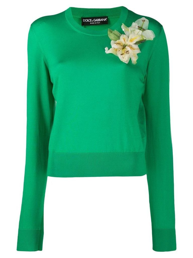 Dolce & Gabbana ribbed knit jumper - Green